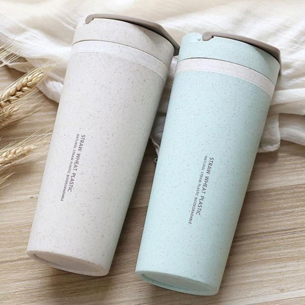 water bottles 500ml portable wheat straw dual wall handle insulated bottle mug coffee tea cup
water bottles 500ml portable wheat straw dual wall handle insulated bottle mug coffee tea cup
