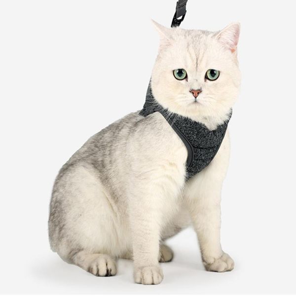 comfortable lightweight cat harness soft anti-escape elastic pet kitten walking straps running cushion 360 wrap-around cat leash
comfortable lightweight cat harness soft anti-escape elastic pet kitten walking straps running cushion 360 wrap-around cat leash