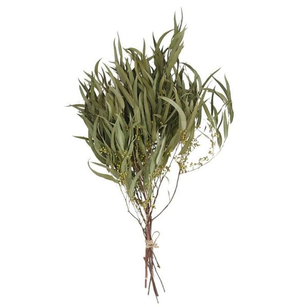 decorative flowers & wreaths 5pcs natural dried slender leaves eucalyptus stems wedding decor home branches green plants
decorative flowers & wreaths 5pcs natural dried slender leaves eucalyptus stems wedding decor home branches green plants