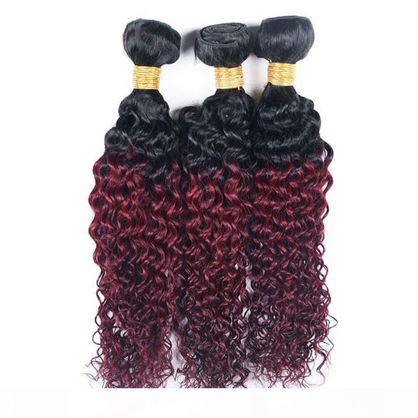 dark roots 1b 99j kinky curly hair weave 3 bundles brazilian ombre color red wine curly virgin human hair extensions 3pcs lot, Black
dark roots 1b 99j kinky curly hair weave 3 bundles brazilian ombre color red wine curly virgin human hair extensions 3pcs lot, Black