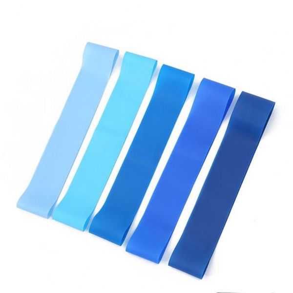 resistance bands 5pcs blue rope multi-scene elastic ring shaping training band for yoga soft and extensible fitness
resistance bands 5pcs blue rope multi-scene elastic ring shaping training band for yoga soft and extensible fitness