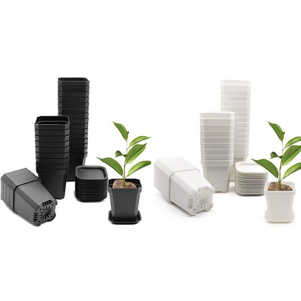 planters & pots -30 pack 3 inch plant nursery pot, square flower planting pot with tray
planters & pots -30 pack 3 inch plant nursery pot, square flower planting pot with tray
