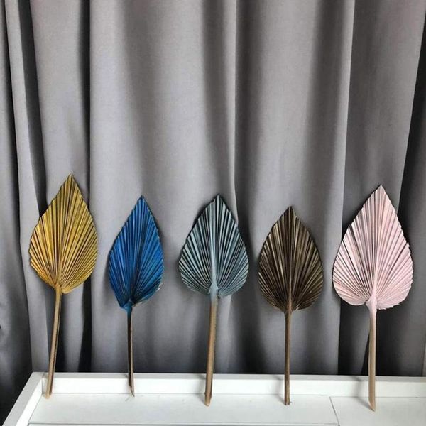 decorative flowers & wreaths 1 pc palm fan leaf dried flower window reception party art wall hanging decoration wedding arch arrangement
decorative flowers & wreaths 1 pc palm fan leaf dried flower window reception party art wall hanging decoration wedding arch arrangement