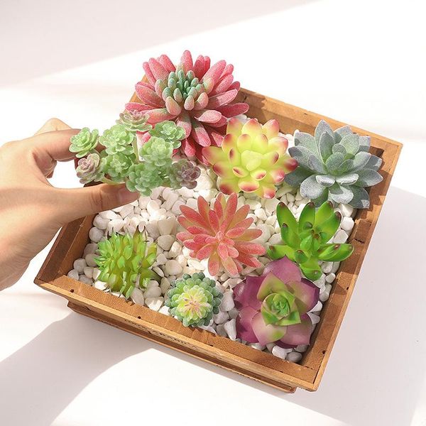 decorative flowers & wreaths ins single simulated plant fake flower mini succulent creative micro-landscape combination diy plastic gem lotu
decorative flowers & wreaths ins single simulated plant fake flower mini succulent creative micro-landscape combination diy plastic gem lotu
