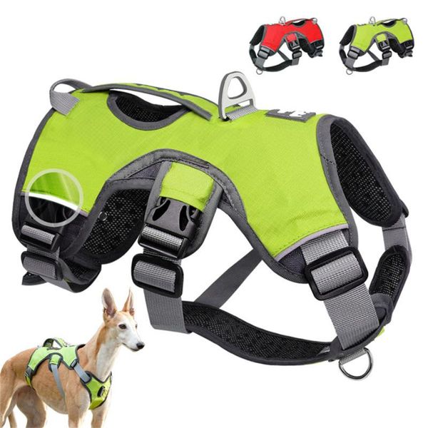 dog collars & leashes strong pet harness reflective collar for dogs vest pets service adjustable soft german shop products s-xl
dog collars & leashes strong pet harness reflective collar for dogs vest pets service adjustable soft german shop products s-xl