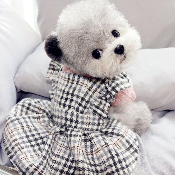dog apparel fashion autumn winter pet dress clothes city sweet princess small medium dogs teddy puppy wedding dresses xs-xl
dog apparel fashion autumn winter pet dress clothes city sweet princess small medium dogs teddy puppy wedding dresses xs-xl