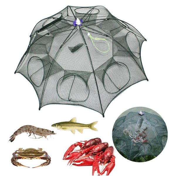 folded fishing net 4/6/8/12/16 hole folding portable automatic fishing shrimp trap fish minnow crab baits cast mesh trap pesca
folded fishing net 4/6/8/12/16 hole folding portable automatic fishing shrimp trap fish minnow crab baits cast mesh trap pesca