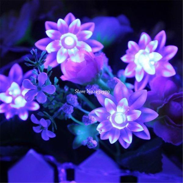 strings 30m 300leds 9 colors lotus led string lights lover's day holiday eventsholidays garland decor. flowers 110v 220v us eu uk au
strings 30m 300leds 9 colors lotus led string lights lover's day holiday eventsholidays garland decor. flowers 110v 220v us eu uk au