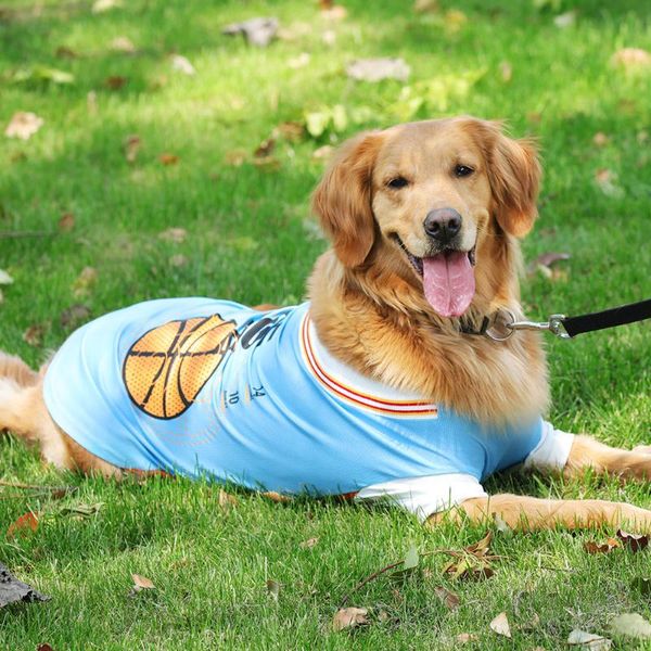 dog apparel large summer clothes jumpsuit harness tshirt cooling vest swimsuit roupa de cachorro life supplies kk60gy
dog apparel large summer clothes jumpsuit harness tshirt cooling vest swimsuit roupa de cachorro life supplies kk60gy