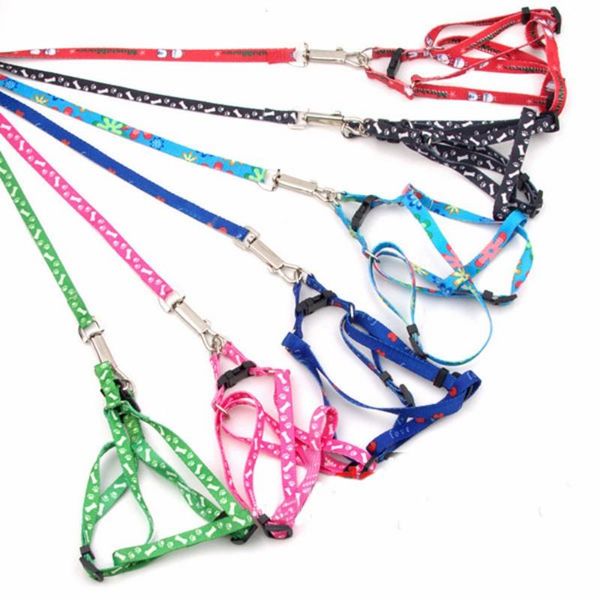 adjustable nylon dog leash and harness set for small dogs cats colorful printed dog chest straps traction rope pets leash belt
adjustable nylon dog leash and harness set for small dogs cats colorful printed dog chest straps traction rope pets leash belt