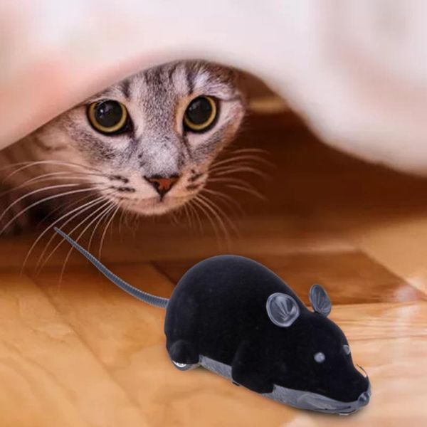 cat toys plush mouse mechanical motion rat wireless remote electronic kitten novelty funny pet supplies
cat toys plush mouse mechanical motion rat wireless remote electronic kitten novelty funny pet supplies