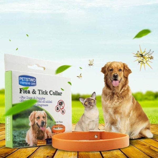 anti flea ticks dog collar natural essential oil repellent soft rubber adjustable anti mosquito mite
anti flea ticks dog collar natural essential oil repellent soft rubber adjustable anti mosquito mite