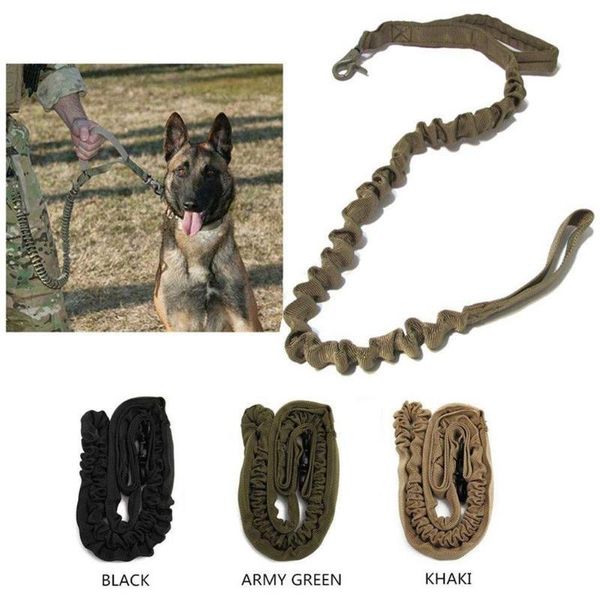 dog collars & leashes pet collar leash wide durable nylon and metal clasp tactical stretchable bungee camouflage pl049
dog collars & leashes pet collar leash wide durable nylon and metal clasp tactical stretchable bungee camouflage pl049