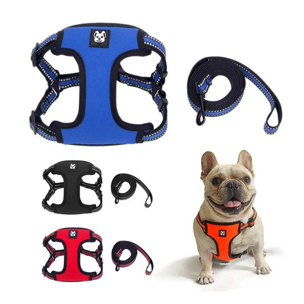 dog collars & leashes harness leash szelki dla psa pettorina cane kopek aksesuar arnes para perro hondentuigjes peitoral cachorro accessorie
dog collars & leashes harness leash szelki dla psa pettorina cane kopek aksesuar arnes para perro hondentuigjes peitoral cachorro accessorie