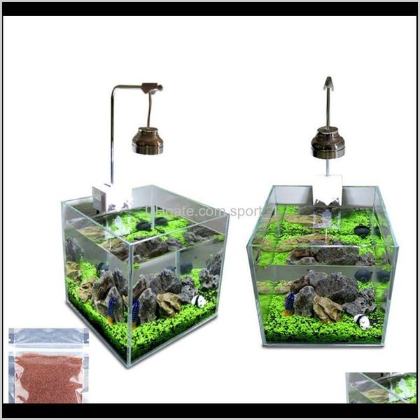 aquarium glossostigma hemianthus callitrichoides seeds water grass mini leaf live plant fish tank decoratio qyleox my_home2010
aquarium glossostigma hemianthus callitrichoides seeds water grass mini leaf live plant fish tank decoratio qyleox my_home2010
