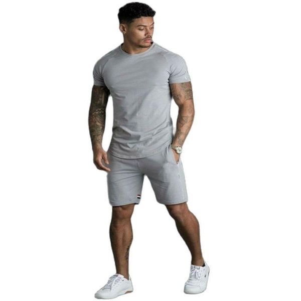 men's tracksuits tracksuit summer sportswear two piece set t shirt shorts track clothing male sweatsuit sports suits husband, Gray
men's tracksuits tracksuit summer sportswear two piece set t shirt shorts track clothing male sweatsuit sports suits husband, Gray