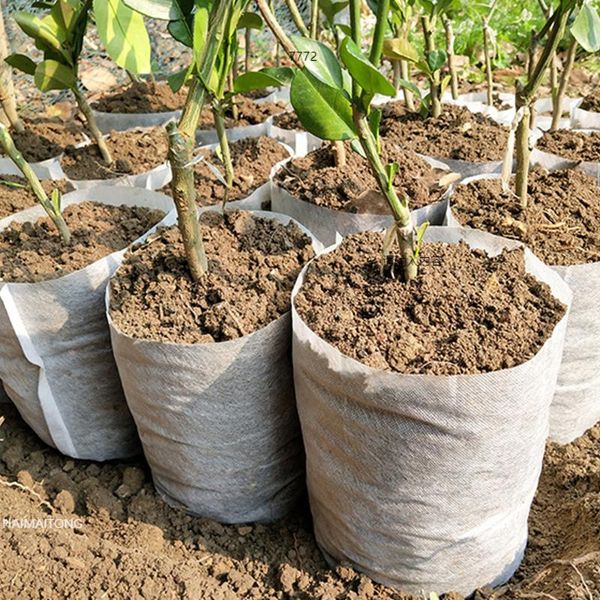 planters & pots biodegradable non-woven fabric nursery plant growth bag planting flower environmental protection ventilation 500pcs
planters & pots biodegradable non-woven fabric nursery plant growth bag planting flower environmental protection ventilation 500pcs