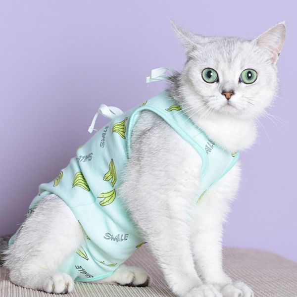 cat costumes pattern dog pajamas pet clothes sleeveless belly sterilization suit jumpsuit pyjamas for small large dogs
cat costumes pattern dog pajamas pet clothes sleeveless belly sterilization suit jumpsuit pyjamas for small large dogs