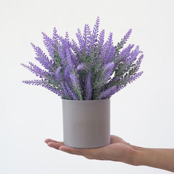 decorative flowers & wreaths artificial potted plants fake lavender plastic flower with pots decoration plant for party festival
decorative flowers & wreaths artificial potted plants fake lavender plastic flower with pots decoration plant for party festival