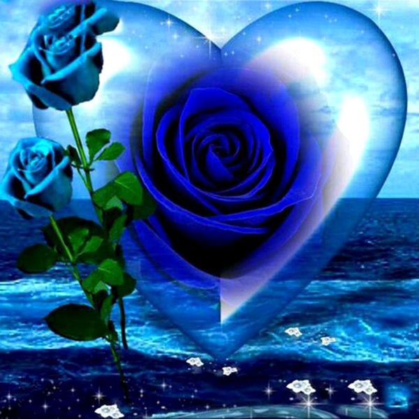 diamond painting full square drill 5d diy "blue rose flower" 3d embroidery cross stitch mosaic home decor
diamond painting full square drill 5d diy "blue rose flower" 3d embroidery cross stitch mosaic home decor