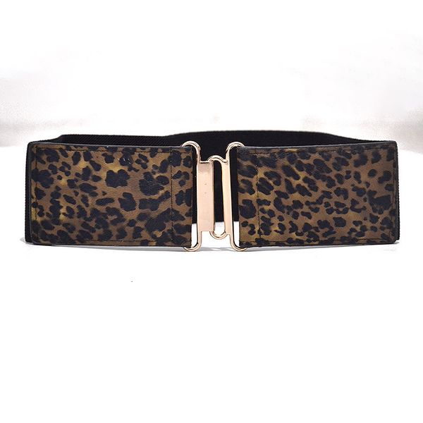 women's fashion wide belt leopard pattern versatile elastic imitation leather buckle decorative belt, Black;brown
women's fashion wide belt leopard pattern versatile elastic imitation leather buckle decorative belt, Black;brown