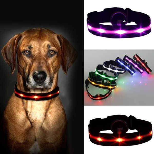nylon led pet dog collar night safety anti-lost flashing glow collars dog supplies accessory candy colors adjustable neck strap
nylon led pet dog collar night safety anti-lost flashing glow collars dog supplies accessory candy colors adjustable neck strap