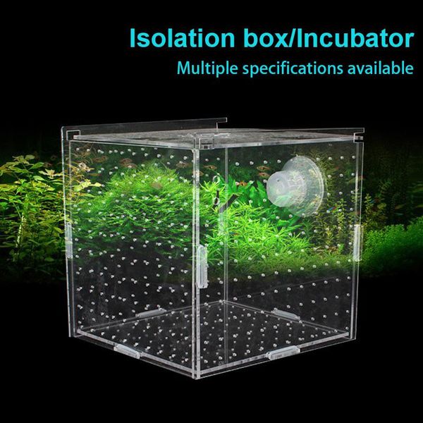 aquariums isolation box fish tank transparent aquarium small fry incubator breeding production single double multi-cell acrylic
aquariums isolation box fish tank transparent aquarium small fry incubator breeding production single double multi-cell acrylic
