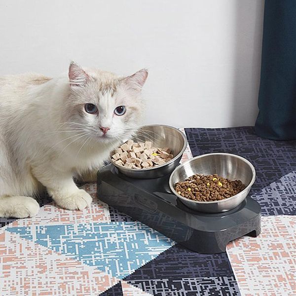 cat bowls & feeders non-slip single/double adjustable stainless steel holder food water bowl feeder kitten stand
cat bowls & feeders non-slip single/double adjustable stainless steel holder food water bowl feeder kitten stand