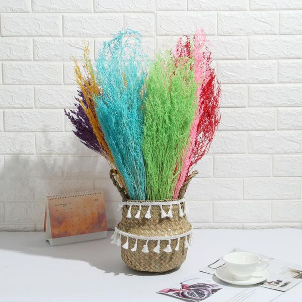 decorative flowers & wreaths 1pcs wedding decoration valentine's pampas grass dried natural phragmites home decor bouquet
decorative flowers & wreaths 1pcs wedding decoration valentine's pampas grass dried natural phragmites home decor bouquet