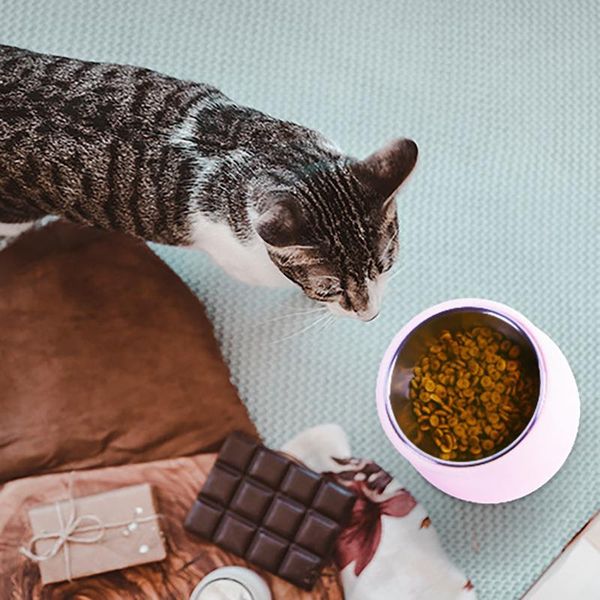cat bowls & feeders pet tableware stainless steel bowl supplies dog rice tilt 
cat bowls & feeders pet tableware stainless steel bowl supplies dog rice tilt