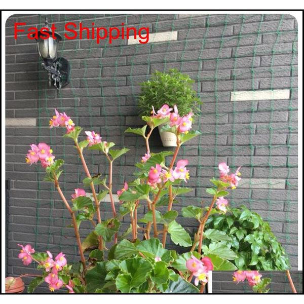6ft garden fence millipore nylon net climbing frame gardening net plant fence anti-bird net vegetable plan qylzfb toys2010
6ft garden fence millipore nylon net climbing frame gardening net plant fence anti-bird net vegetable plan qylzfb toys2010