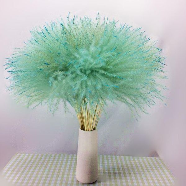 decorative flowers & wreaths 10pcs natural pampas grass decor flower dried plants wedding bunch christmas home colorful phragmites communis
decorative flowers & wreaths 10pcs natural pampas grass decor flower dried plants wedding bunch christmas home colorful phragmites communis