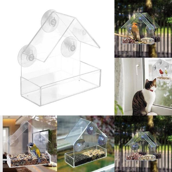 other bird supplies clear glass window viewing feeder el table adsorption type suction house peanut seed hanging n3j9
other bird supplies clear glass window viewing feeder el table adsorption type suction house peanut seed hanging n3j9
