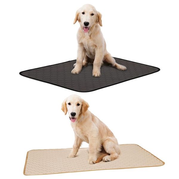 absorbent dairy diapers for pet dogs training urine pad pet diaper cat dog dairy diaper supplies beds for small large dogs
absorbent dairy diapers for pet dogs training urine pad pet diaper cat dog dairy diaper supplies beds for small large dogs