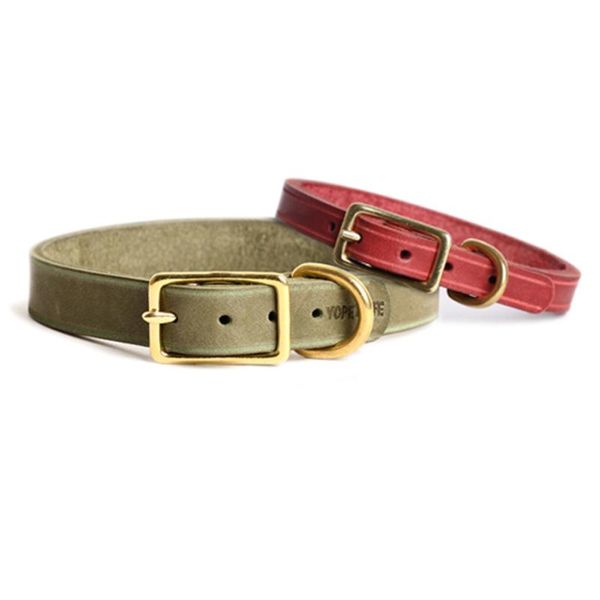 dog collars & leashes personalized collar leather safety breakaway retractable cat charm obroza dla kota supplies ab50xq
dog collars & leashes personalized collar leather safety breakaway retractable cat charm obroza dla kota supplies ab50xq