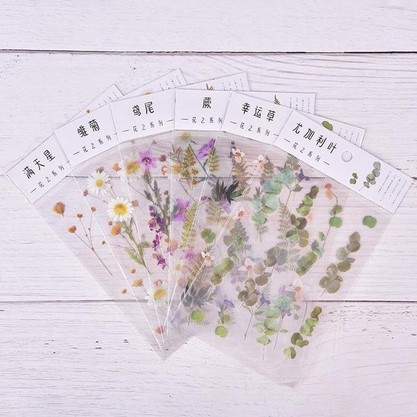 gift wrap one sheet 6 designs natural daisy clover japanese words stickers transparent pet material flowers leaves plants deco
gift wrap one sheet 6 designs natural daisy clover japanese words stickers transparent pet material flowers leaves plants deco