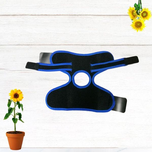 1pc breathable ankle guard sports ankle pad portable brace practical support sports accessories for men exercise blu, Blue;black
1pc breathable ankle guard sports ankle pad portable brace practical support sports accessories for men exercise blu, Blue;black