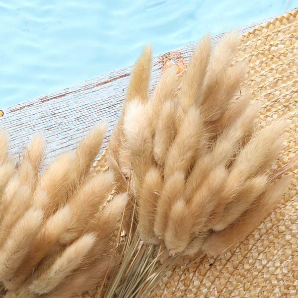 decorative flowers & wreaths 50stem dried flower tail natural plants floral grass bouquet home decoration accessories pography
decorative flowers & wreaths 50stem dried flower tail natural plants floral grass bouquet home decoration accessories pography