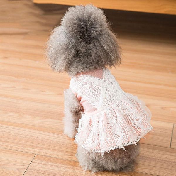 dog apparel est dresses for spring and summer two-legged clothes breathable lace skirt small puppy pets
dog apparel est dresses for spring and summer two-legged clothes breathable lace skirt small puppy pets