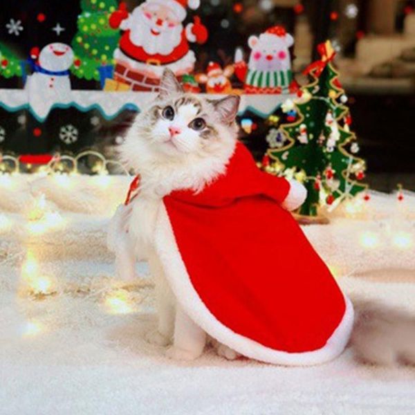 cat costumes nice costume pet holiday dress up christmas halloween transform handsome funny cloak
cat costumes nice costume pet holiday dress up christmas halloween transform handsome funny cloak