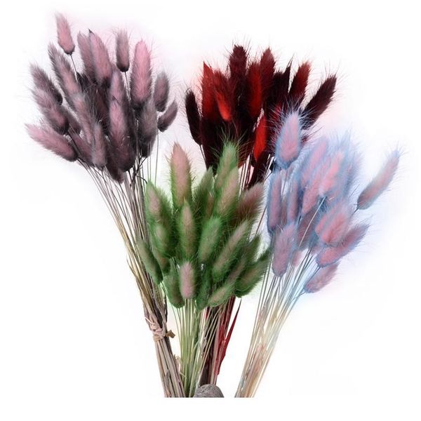 30pcs gradient lagurus ovatus natural dried flowers bouquet diy wedding home christmas decoration rabbit tail grass real jlltib
30pcs gradient lagurus ovatus natural dried flowers bouquet diy wedding home christmas decoration rabbit tail grass real jlltib