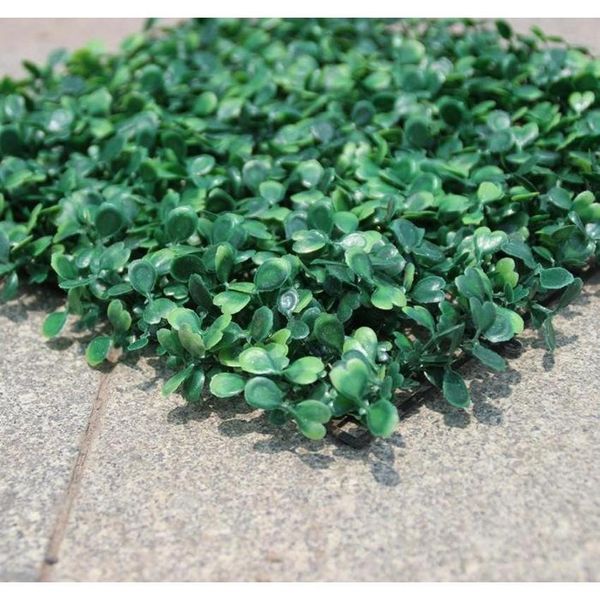 wholesale 60pcs artificial grass plastic boxwood mat ary tree milan grass for garden,home ,store,wedding dec jllmcu warmslove
wholesale 60pcs artificial grass plastic boxwood mat ary tree milan grass for garden,home ,store,wedding dec jllmcu warmslove