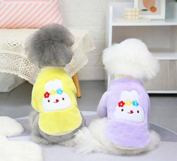 cat costumes clothing autumn pet clothes sweater for small dogs cats 
cat costumes clothing autumn pet clothes sweater for small dogs cats