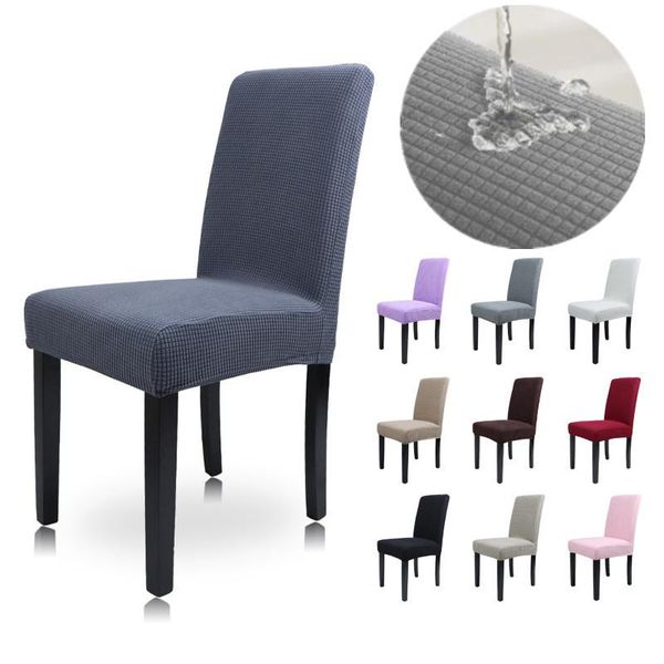 chair covers velvet cover stretch for sitting room washable elastic hood seat banquet decoration party dinning chairs
chair covers velvet cover stretch for sitting room washable elastic hood seat banquet decoration party dinning chairs