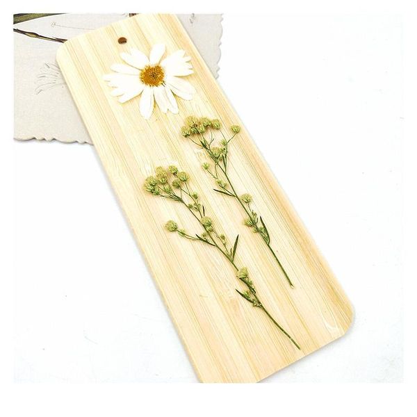 16pcs,natural pressed eternal flowers with branches,diy wedding invitation craft gift bookmark decoration,scented candle decor qylqnu
16pcs,natural pressed eternal flowers with branches,diy wedding invitation craft gift bookmark decoration,scented candle decor qylqnu