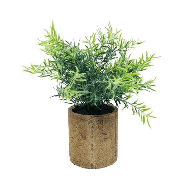 artificial potted home decoration environment friendly bonsai washable - reusable gifts living room green plants
artificial potted home decoration environment friendly bonsai washable - reusable gifts living room green plants