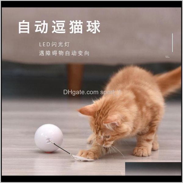 new self hi cat toy ball usb electric pet led rolling flash rolling ball can change feathers by4mu jdtdb
new self hi cat toy ball usb electric pet led rolling flash rolling ball can change feathers by4mu jdtdb