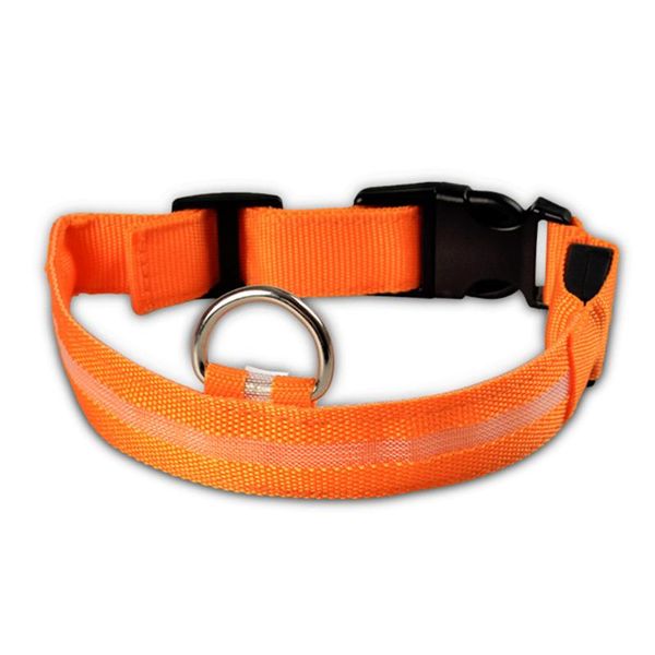 dog collars & leashes adjustable led flashing glow luminous pet safety collar night light nylon for choice xs-xl
dog collars & leashes adjustable led flashing glow luminous pet safety collar night light nylon for choice xs-xl