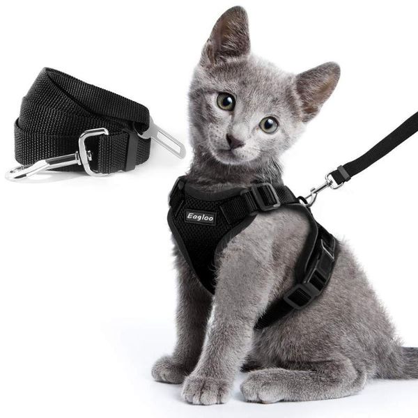 cat collars & leads escape proof vest harness and car seat belt adapter adjustable reflective soft mesh for kitten puppy 
cat collars & leads escape proof vest harness and car seat belt adapter adjustable reflective soft mesh for kitten puppy