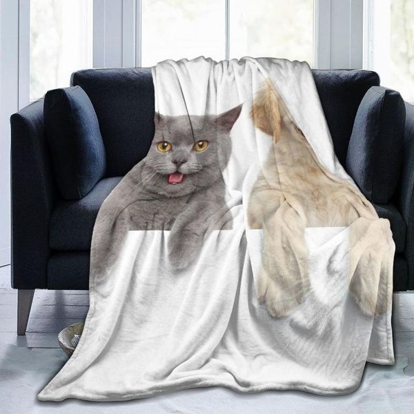 blankets soft warm fleece blanket cat dog over white banner winter sofa plaid throw 3 size light thin mechanical wash flannel
blankets soft warm fleece blanket cat dog over white banner winter sofa plaid throw 3 size light thin mechanical wash flannel